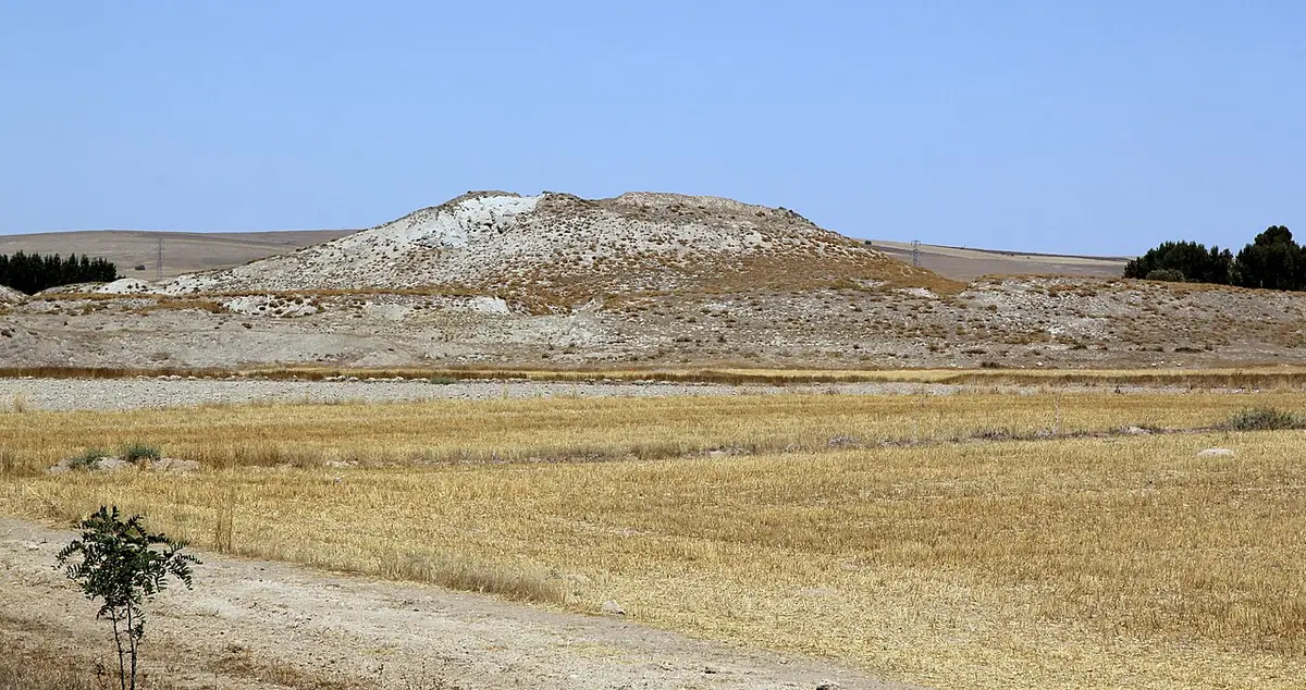 Alişar Höyüğü