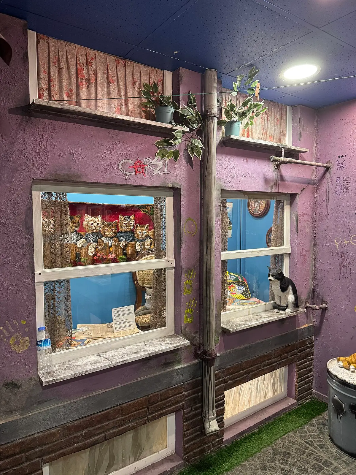 Beşiktaş Kedi Müzesi