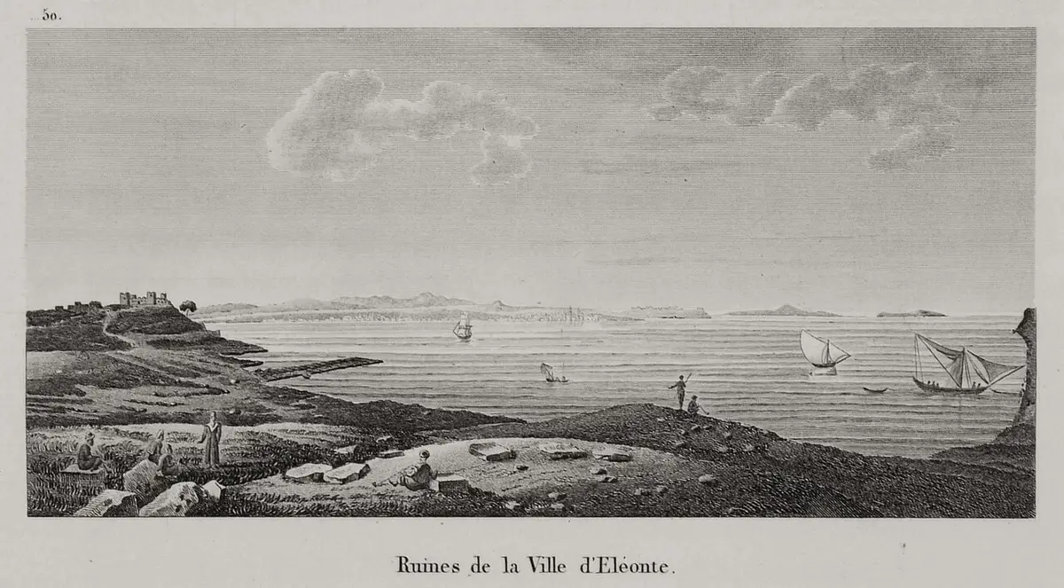 Elaeus
