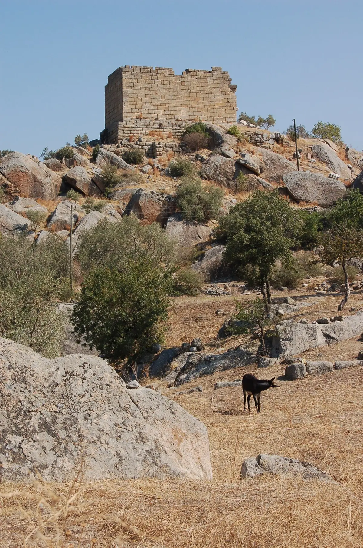 Herakleia