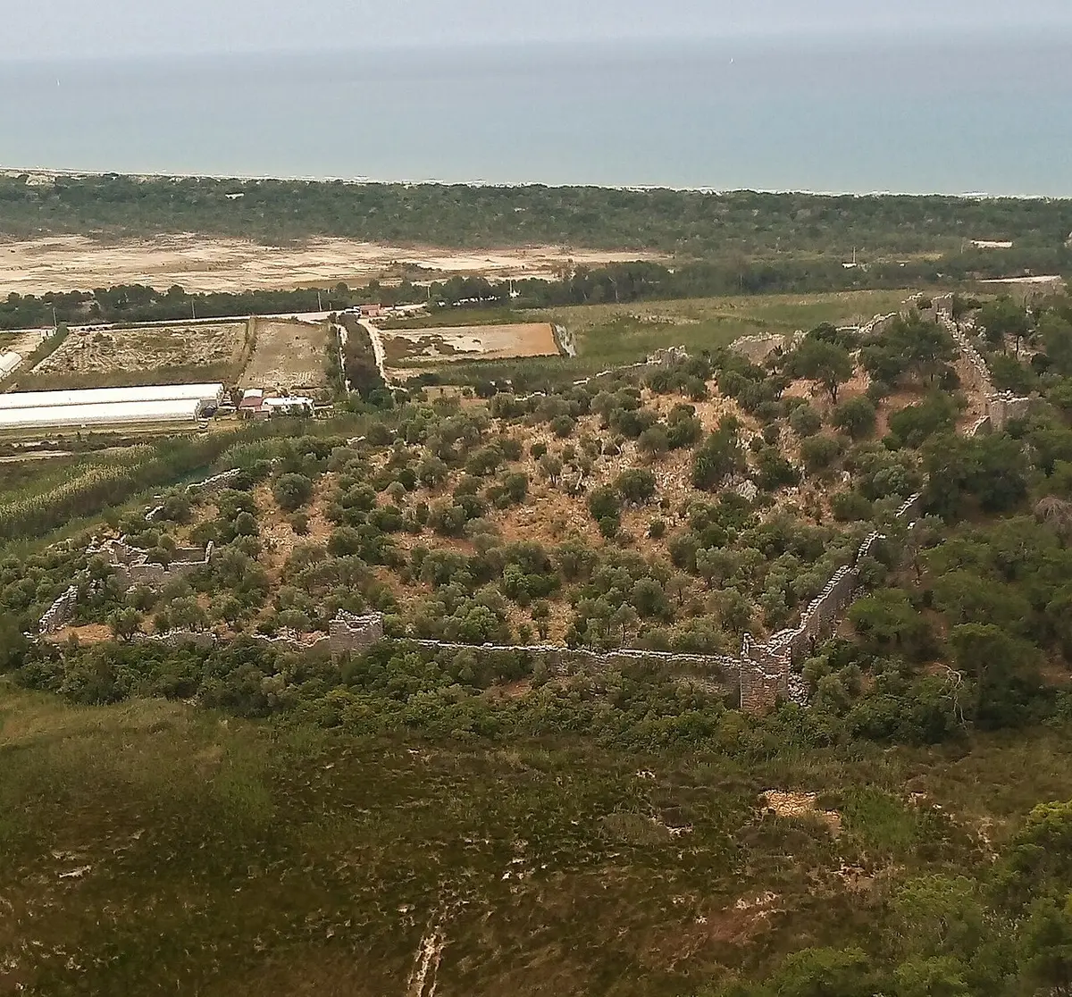 Pydnai