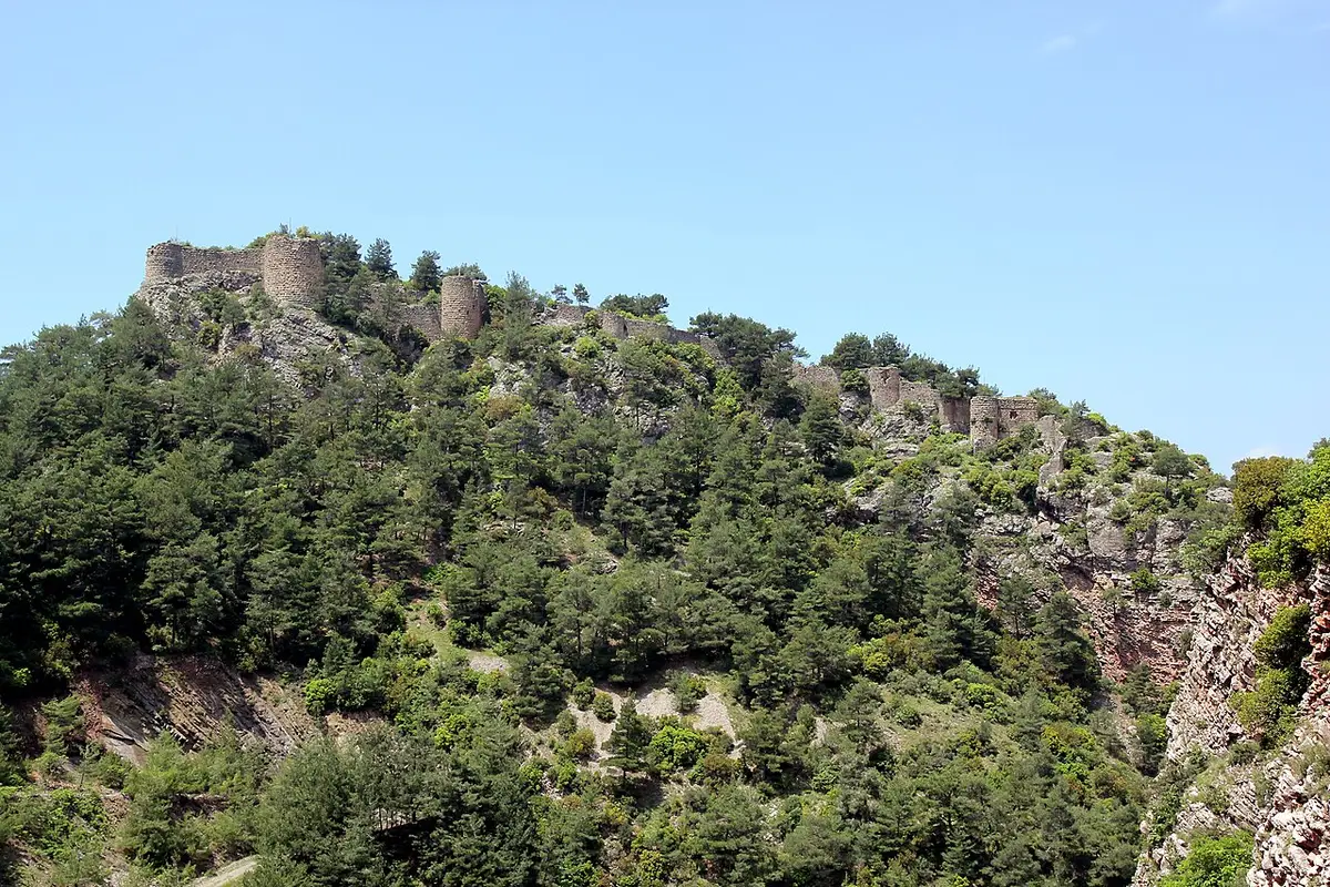 Savranda Kalesi