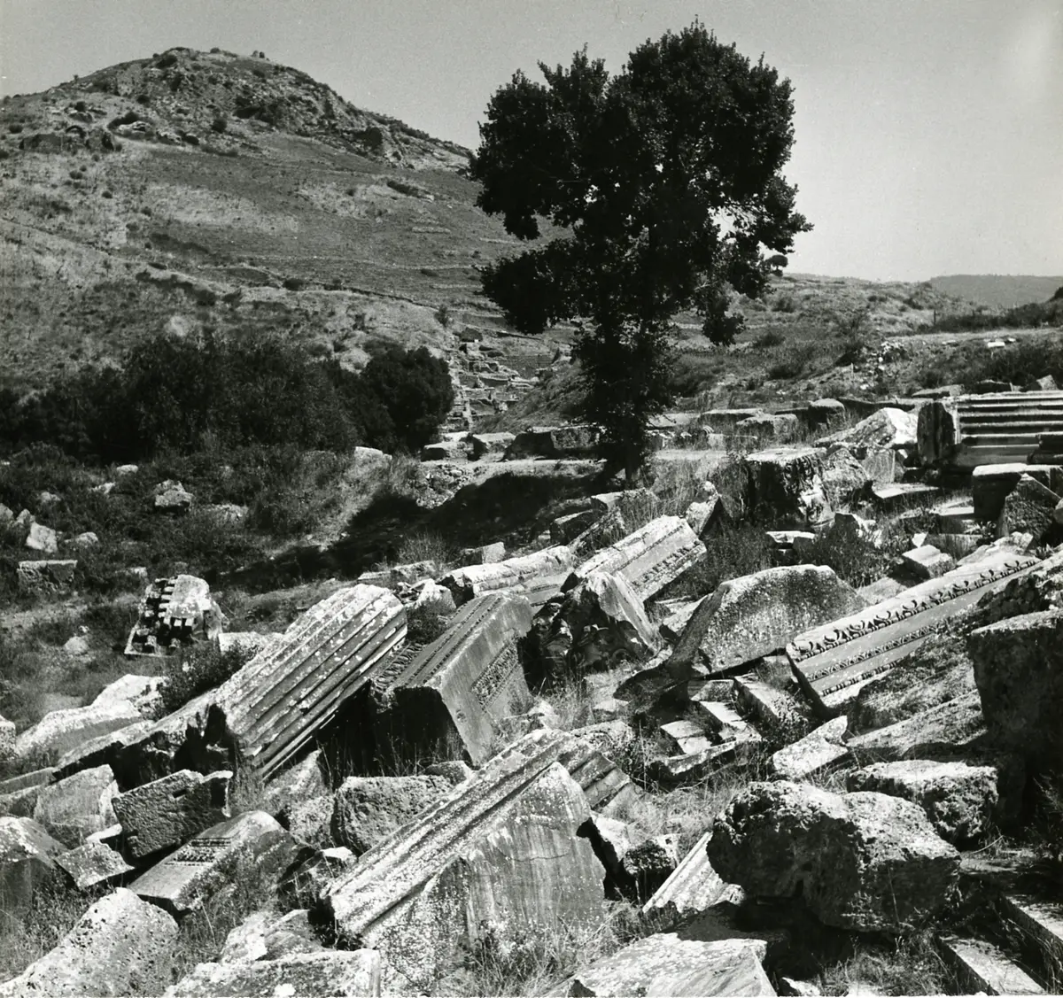 Tapınak Alanı (Serapeion)