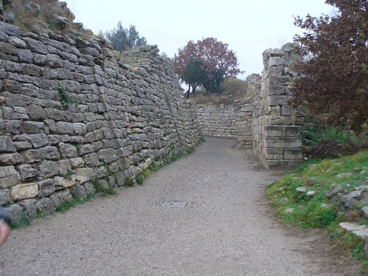 Troy VII